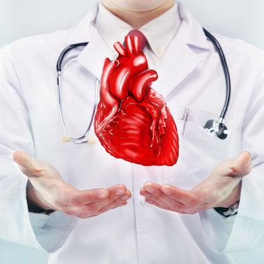 Szívhez szóló ajánlat! Alapos kardiológiai kivizsgálás FŐORVOSTÓL: Szívultrahang + EKG + Általános kardiológiai vizsgálatok.