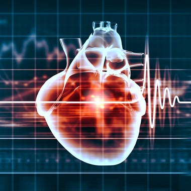 Magasan jegyzett kardiológiai kivizsgálás csomag: Szívultrahang, EKG, terheléses EKG, ... ✚ alsó végtagi artériás, és vénás doppler vizsgálat