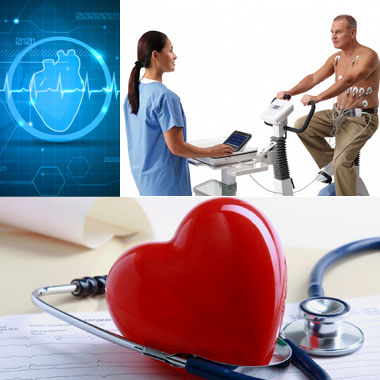 A szíved az életed, ne a bajaid forrása legyen! Kardiológiai kivizsgálás: Szívultrahang (ECHO) + EKG + Terheléses EKG + Konzultáció