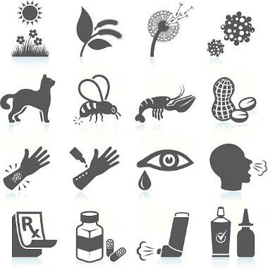Allergia teszt 400 anyagra (ételek, tartósítószerek, pollenek, állati anyagok...) + candida szűrés + hazavihető eredmény
