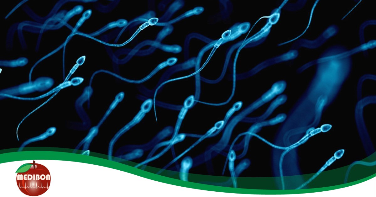 Spermapokalipszis, avagy egyre csak nő a férfiak terméketlensége